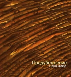 Предубеждение (СИ)