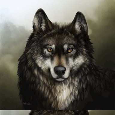 Закон жизни