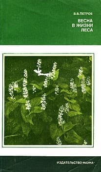 Весна в жизни леса