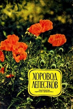 Хоровод лепестков