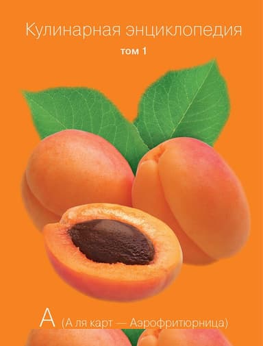 Кулинарная энциклопедия. Том 1. А (А ля карт – Аэрофритюрница)