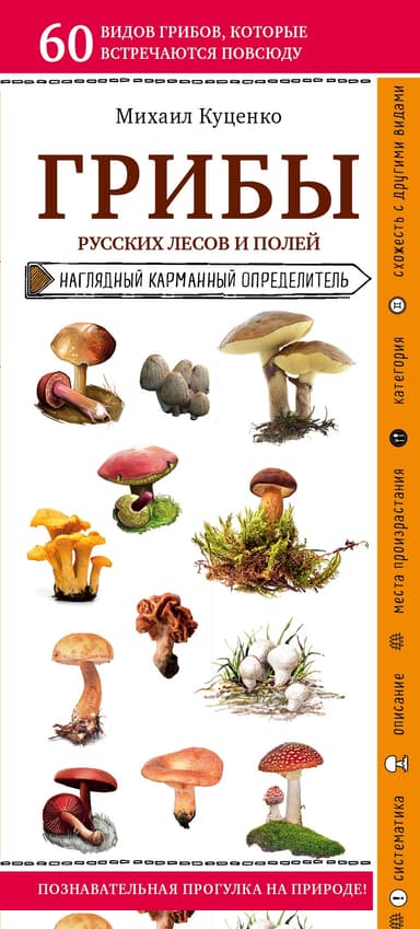 Грибы русских лесов и полей