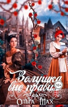 Золушка вне правил