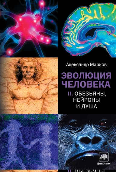 Эволюция человека. Книга II. Обезьяны, нейроны и душа