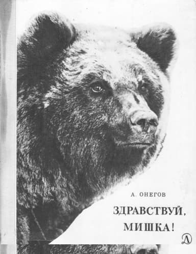 Здравствуй, мишка!