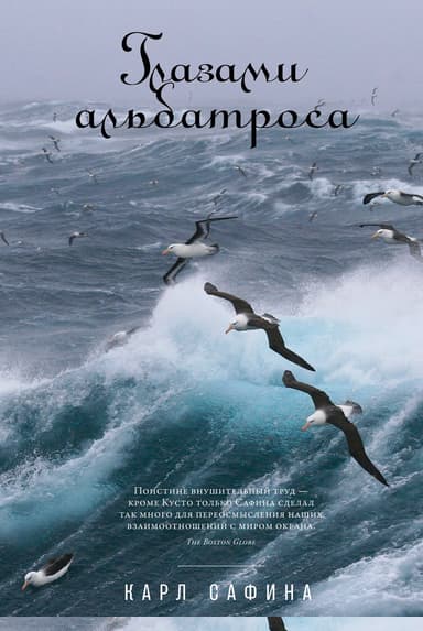 Глазами альбатроса
