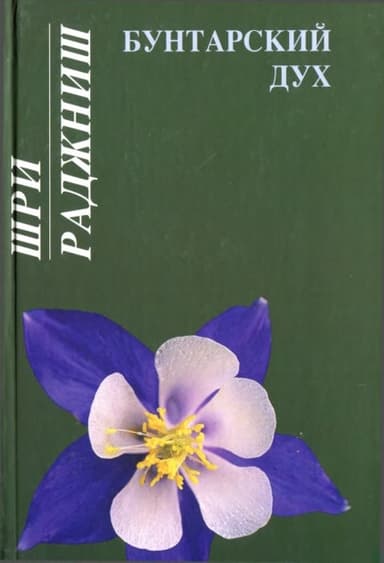 Бунтарский дух