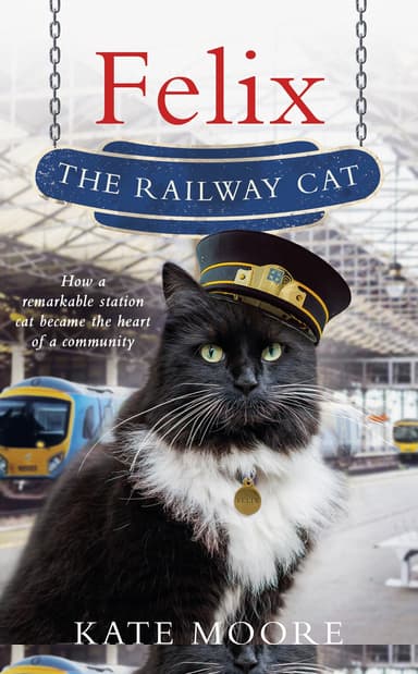 Felix The Railway Cat