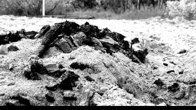 Краковяк вприсядку