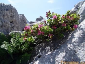 Муки творчества - сборник стихов