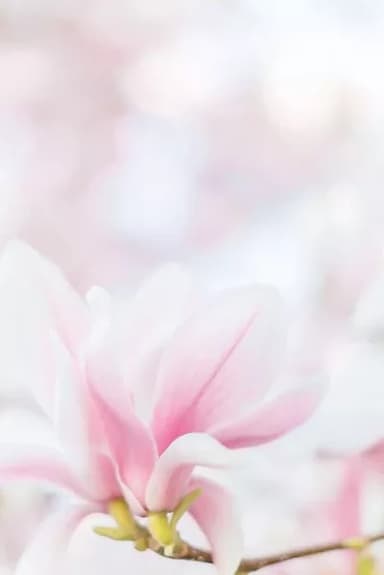 По тропке вниз (СИ)